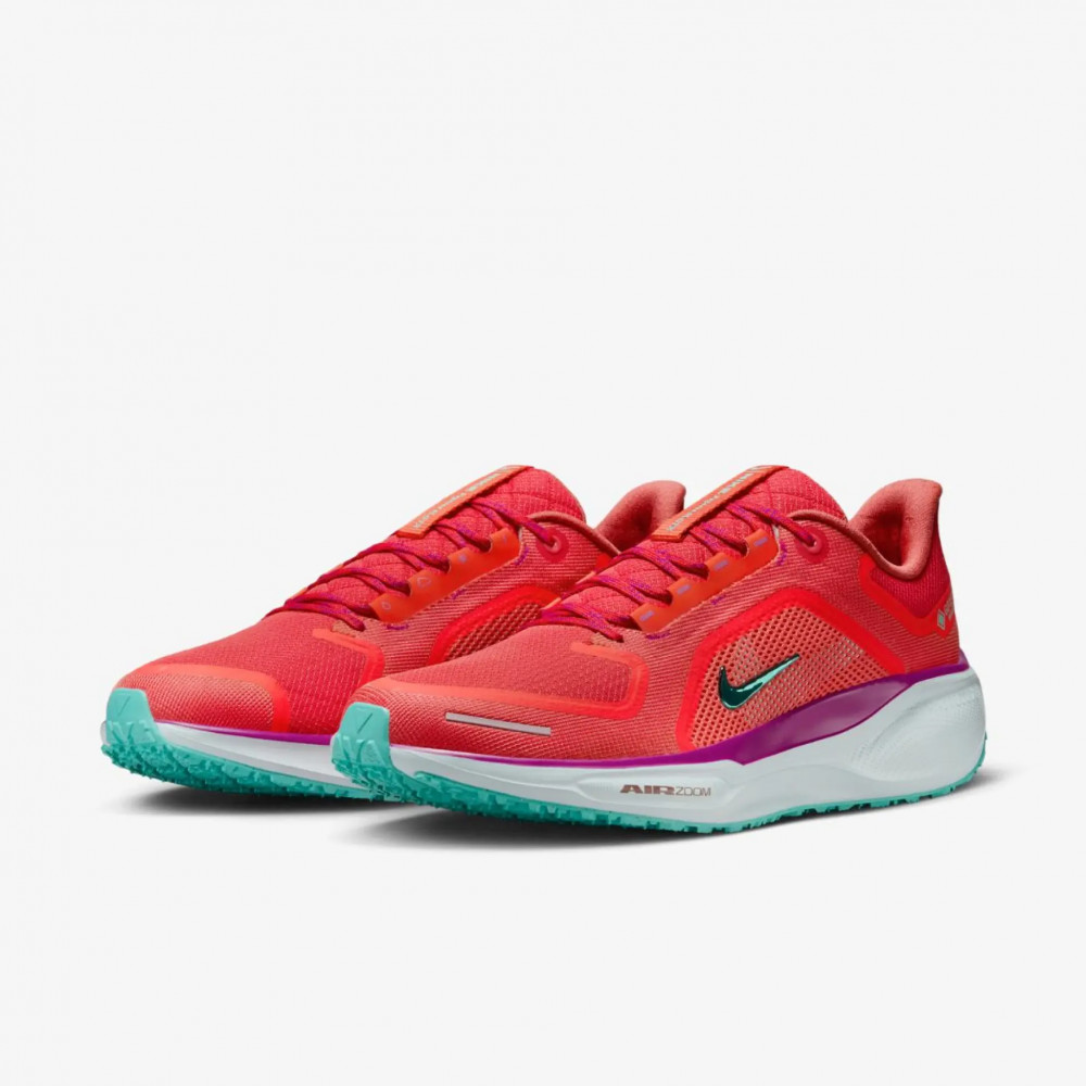 Мужские Кроссовки Nike Pegasus 41 Gore Tex HM8872-600_image_3