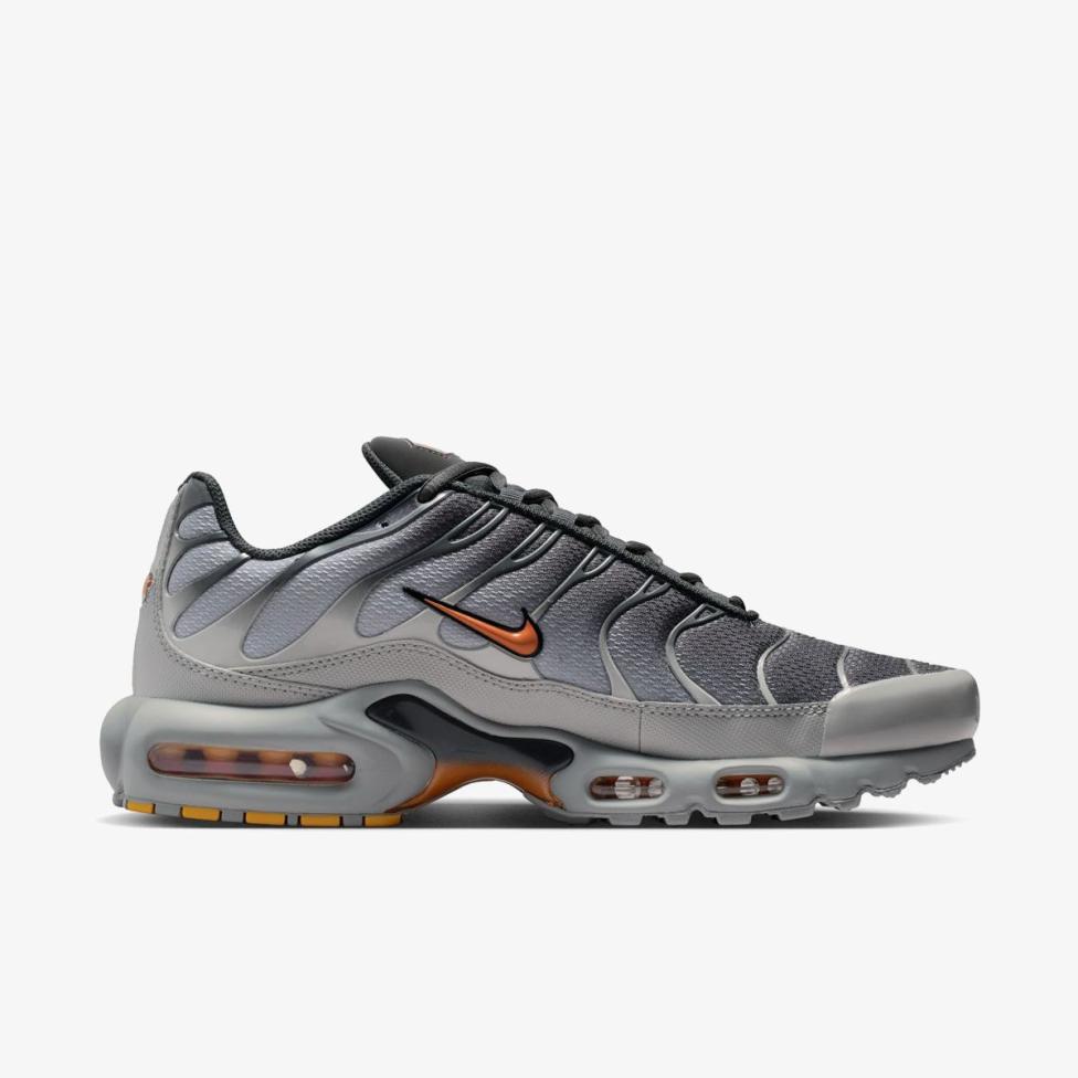 Мужские кроссовки NIKE AIR MAX PLUS DM0032-037_image_3