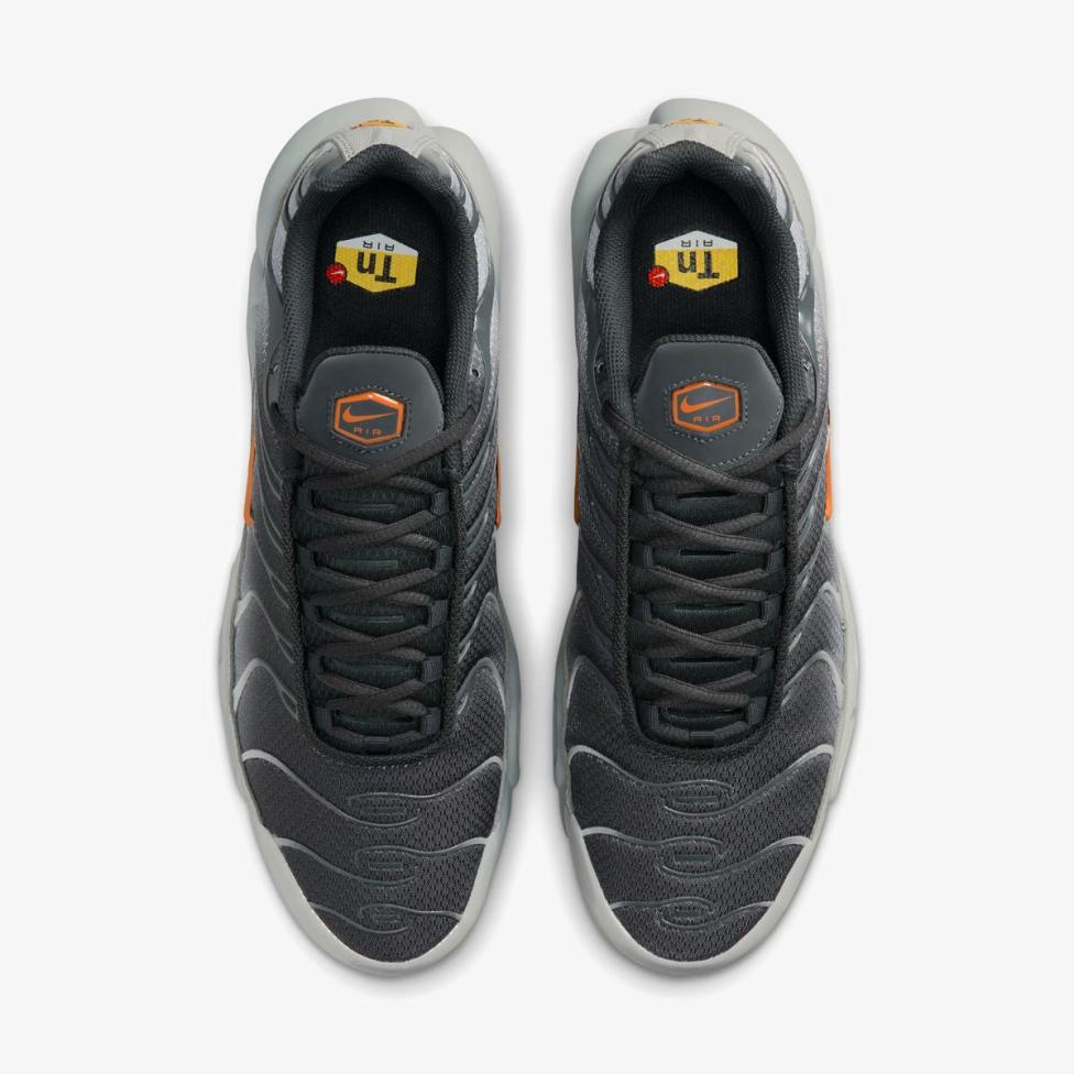 Мужские кроссовки NIKE AIR MAX PLUS DM0032-037_image_4