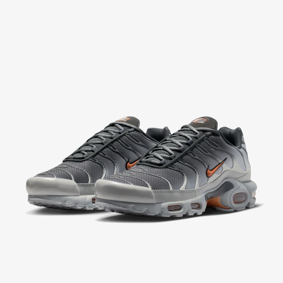 Мужские кроссовки NIKE AIR MAX PLUS DM0032-037_image_5