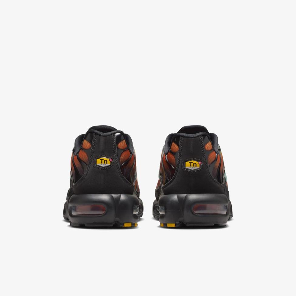 Мужские кроссовки NIKE AIR MAX PLUS OG PRM IQ0168-900_image_6
