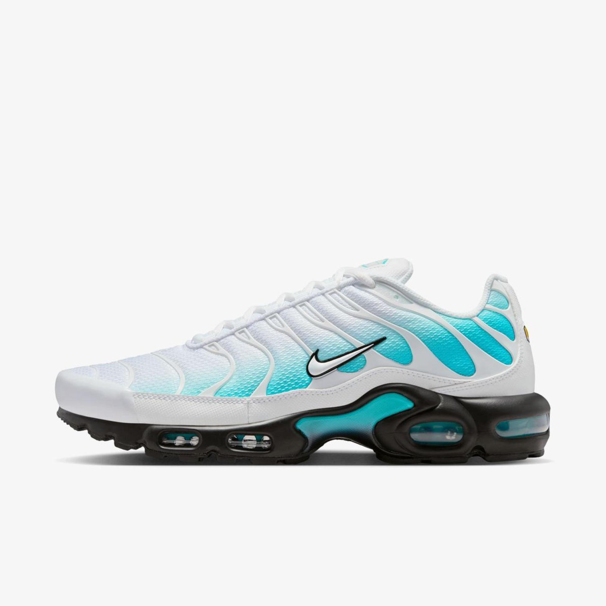 Мужские кроссовки NIKE AIR MAX PLUS IU7539-345_image_69