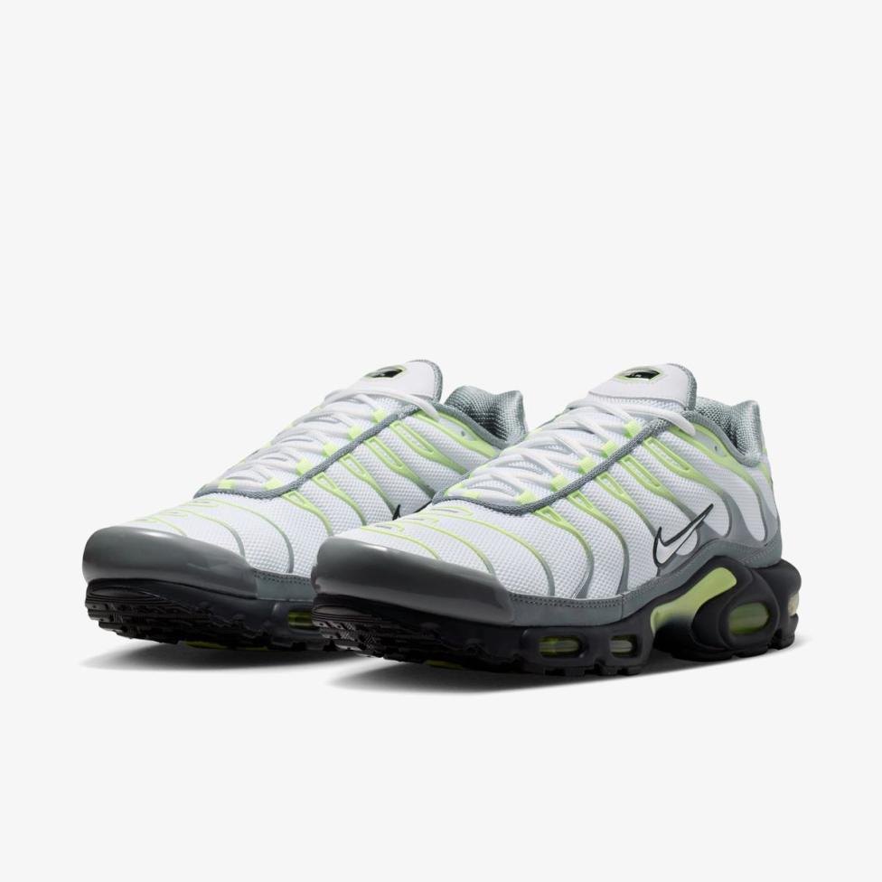 Мужские кроссовки NIKE AIR MAX PLUS IR1999-065_image_5