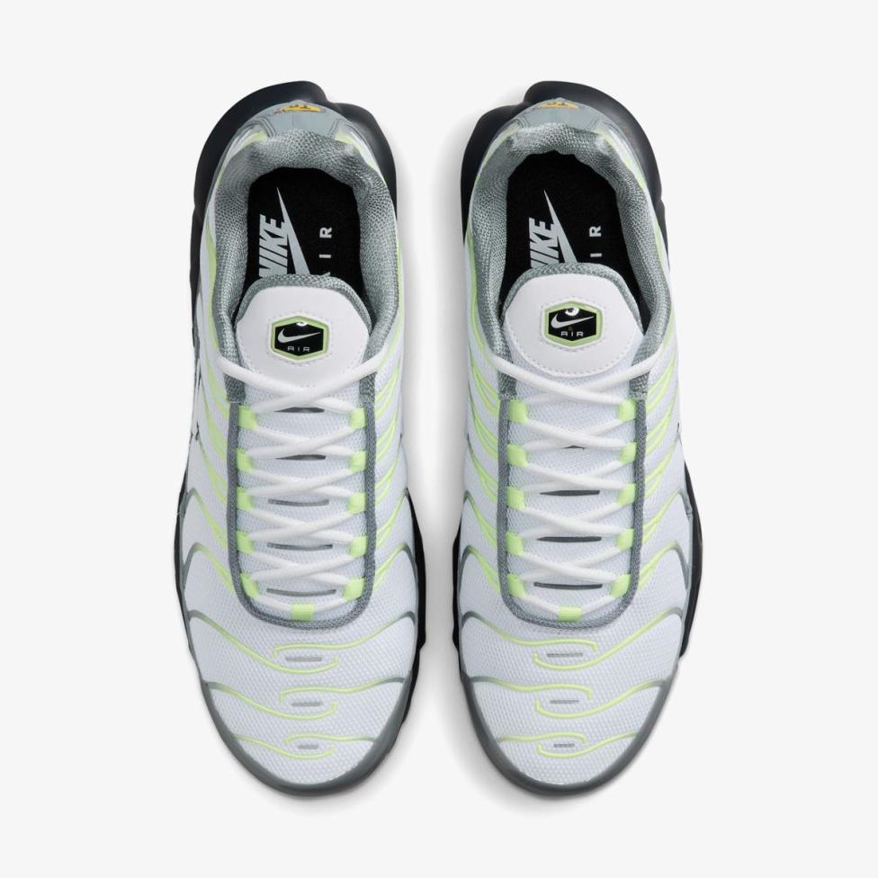 Мужские кроссовки NIKE AIR MAX PLUS IR1999-065_image_4