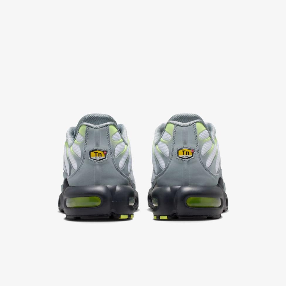 Мужские кроссовки NIKE AIR MAX PLUS IR1999-065_image_6