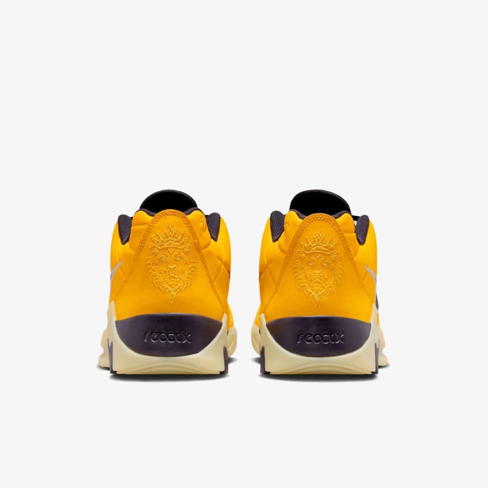 Чоловічі кросівки NIKE LEBRON WITNESS IX HQ8034-700_image_6