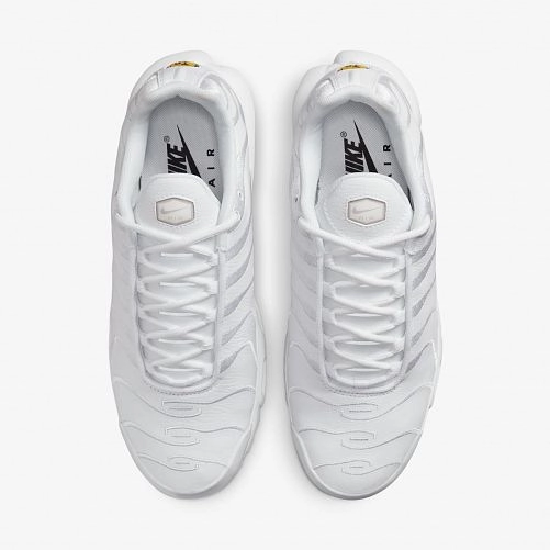 Мужские кроссовки Nike Air Max Plus AJ2029-100_image_5
