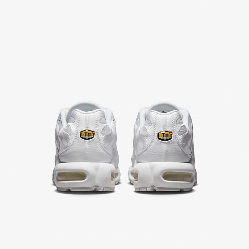 Мужские кроссовки Nike Air Max Plus AJ2029-100_image_8
