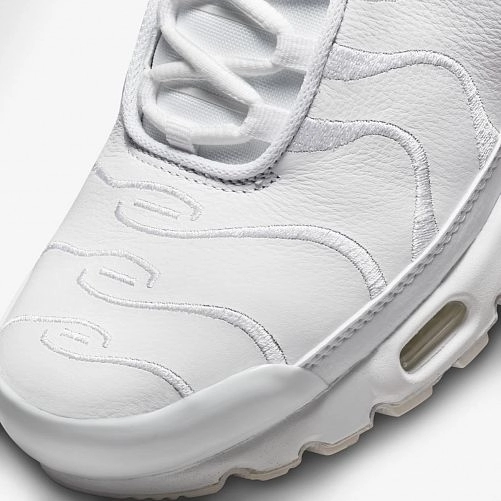 Мужские кроссовки Nike Air Max Plus AJ2029-100_image_6