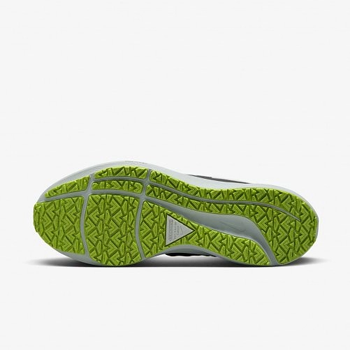 Кроссовки Nike Air Zoom Pegasus 39 Shield Do7626-002_image_10