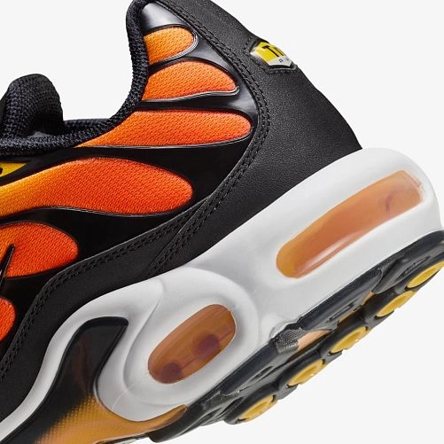 Кроссовки мужские Nike Air Max Plus 2024 HF0552-001_image_5